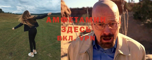 ECSTASY Алзамай