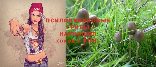 дмт Алексин